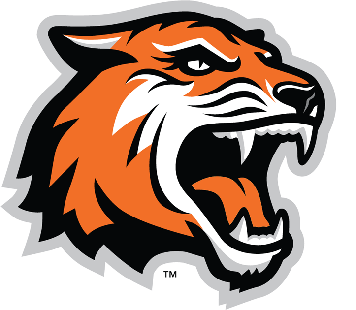 RIT Tigers 2004-Pres Alternate Logo v2 iron on transfers for clothing